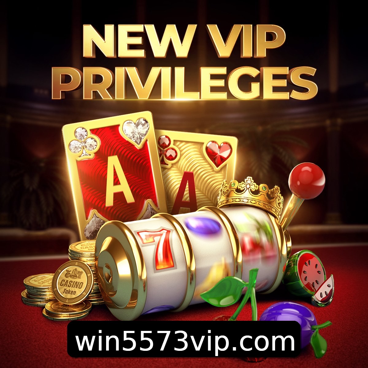 Programa VIP win55